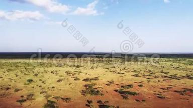 空中镜头荒野草原草原景观在塞伦盖蒂国家公园。 穿越非洲的野生动物园之旅